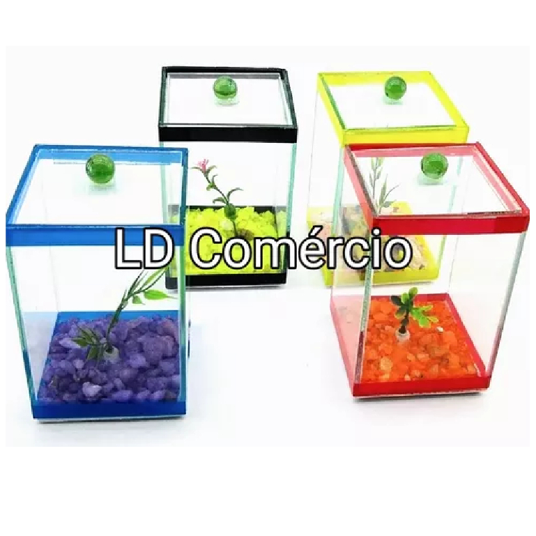 Kit 5 Beteiras 09x09x14cm Vidro Aquários Decorado plantas artificiais plantinhas pedras coloridas decorativa peixes beta