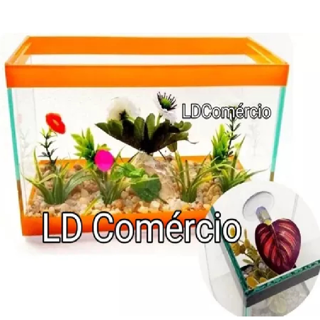 Aquário Beteira 25x12x15 Decorado Bob + Folha Cama Betta