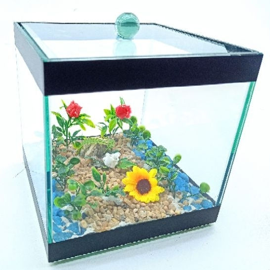 Aquario cubo 15x15cm decorado com plantas pedras beteira vidro