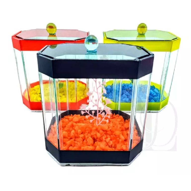 Kit 4 Aquários 14x10x13 Decorado Beteira Peixe Beta Decorada Topázio
