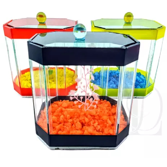2 Aquário 14x10x13cm Topázio N1 Beteira Peixe Beta Decorado