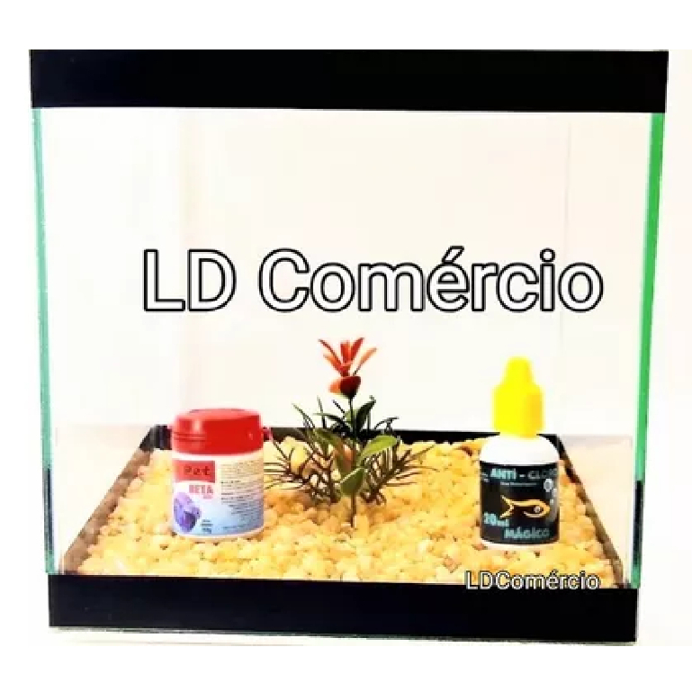 Aquário Beteira com Pedras Cubo 8 Litros Decorada Ração + Anticloro