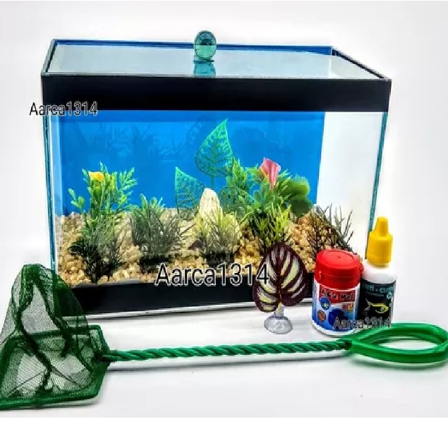 Aquário Bob Beteira 25x12x15 Decorado Rede Ração Folha Folha Cama Beta com Fundo Azul