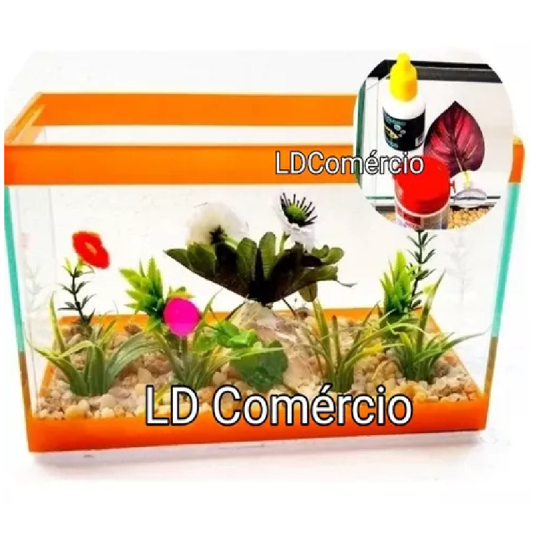 Aquário Beteira Bob 25x12x15 + Folha Betta+ Ração+ Anticloro