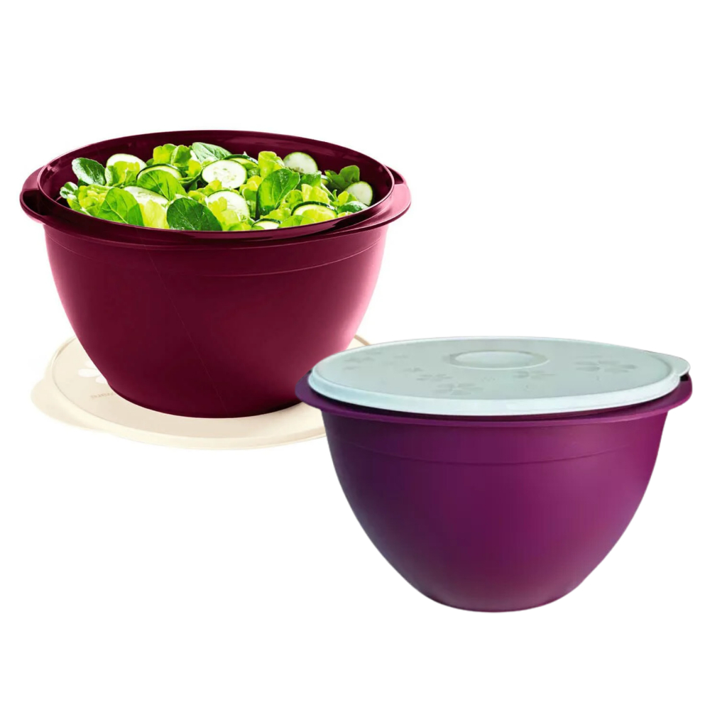 O que é Tigela Actualite 10 Litros? Guia e Onde Comprar | BuscaProdutos