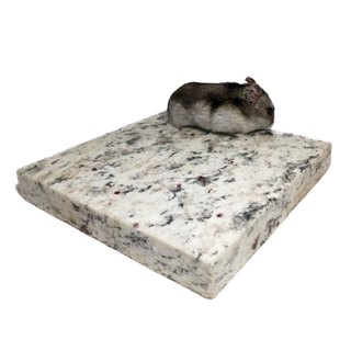Pedra Granito para Resfriamento Terrário Hamster Gerbil Topolino Roedores Répteis em Oferta na Shopee
