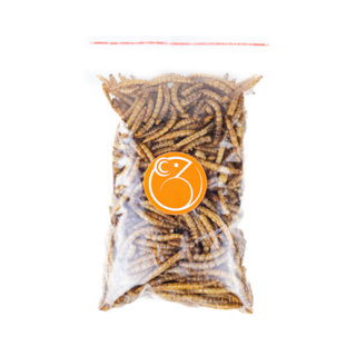 Larva de Tenebio Desidratado para Hamster Rato twister Gerbil Camundongo Roedores Répteis Pássaros em Oferta na Shopee