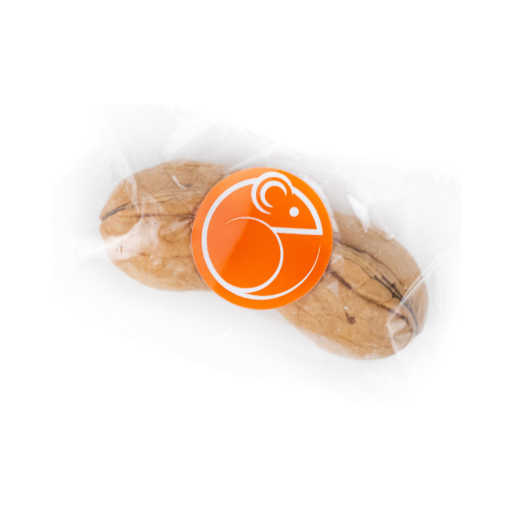 Noz com casca Petisco para Desgaste dentes de Hamster Gerbil Roedores em Oferta na Shopee