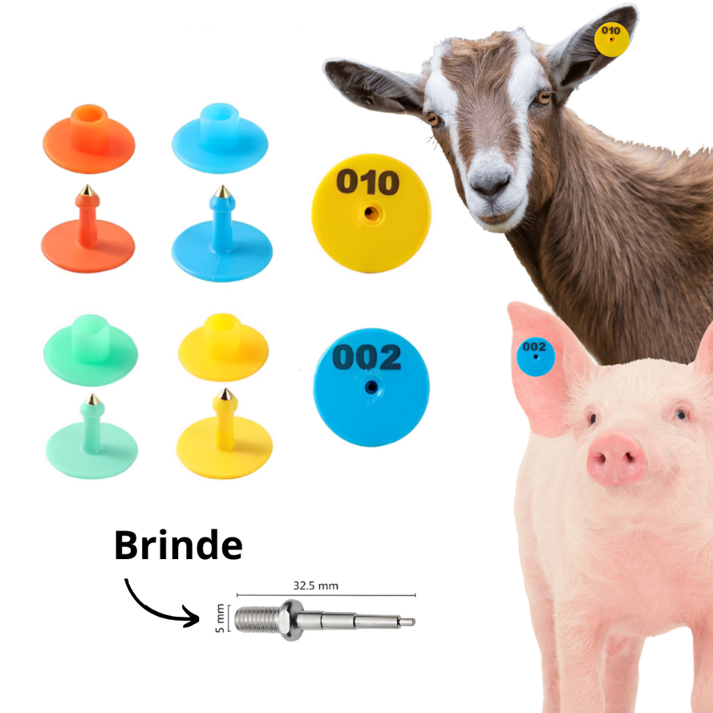 50 Brincos Redondos Numerados Ovinos  Suínos  Caprinos em Oferta na Shopee
