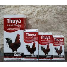 Thuya Avícola - Simões