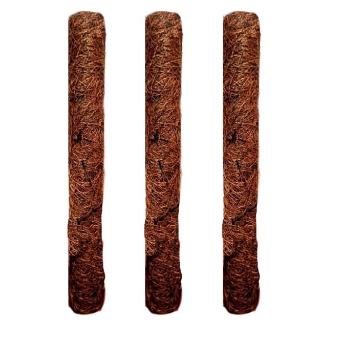 3 Estacas Fibra De Coco Trepadeira (Jiboias,anturos,orquideas entre outras) em Oferta na Shopee