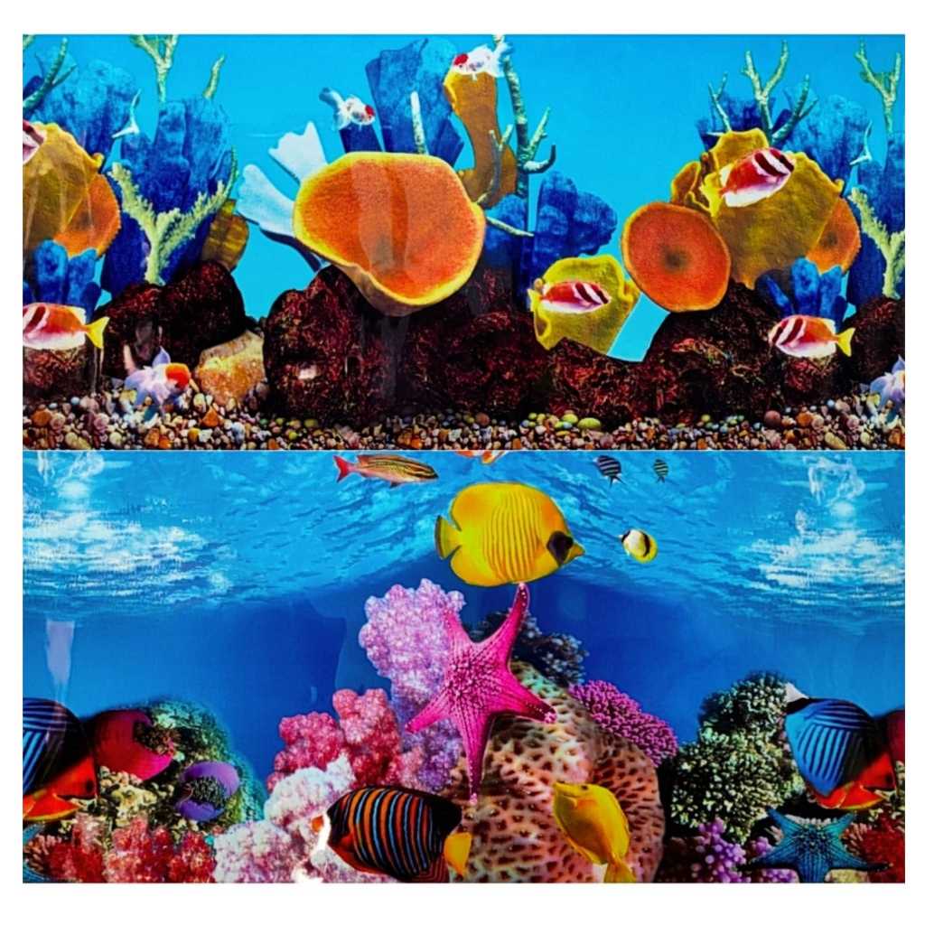 Painel Para Aquário Decorativo 50cm X 50cm Papel De Fundo Aquarios Dupla Face Agua Doce Marinho