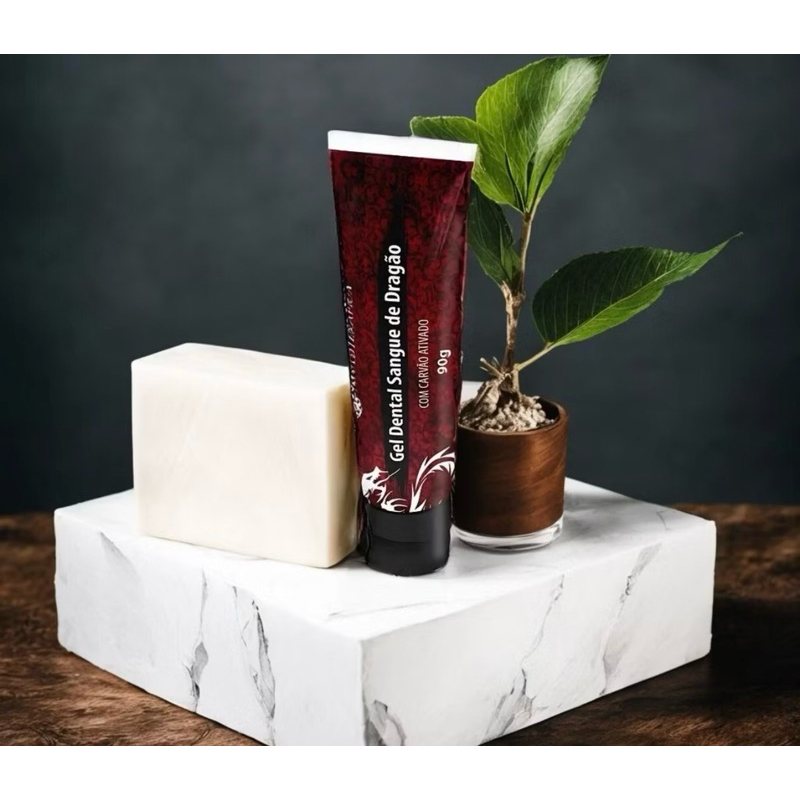 Gel Dental Carvão Ativado e Sangue de Dragão Phytoterápica 90g em Oferta na Shopee