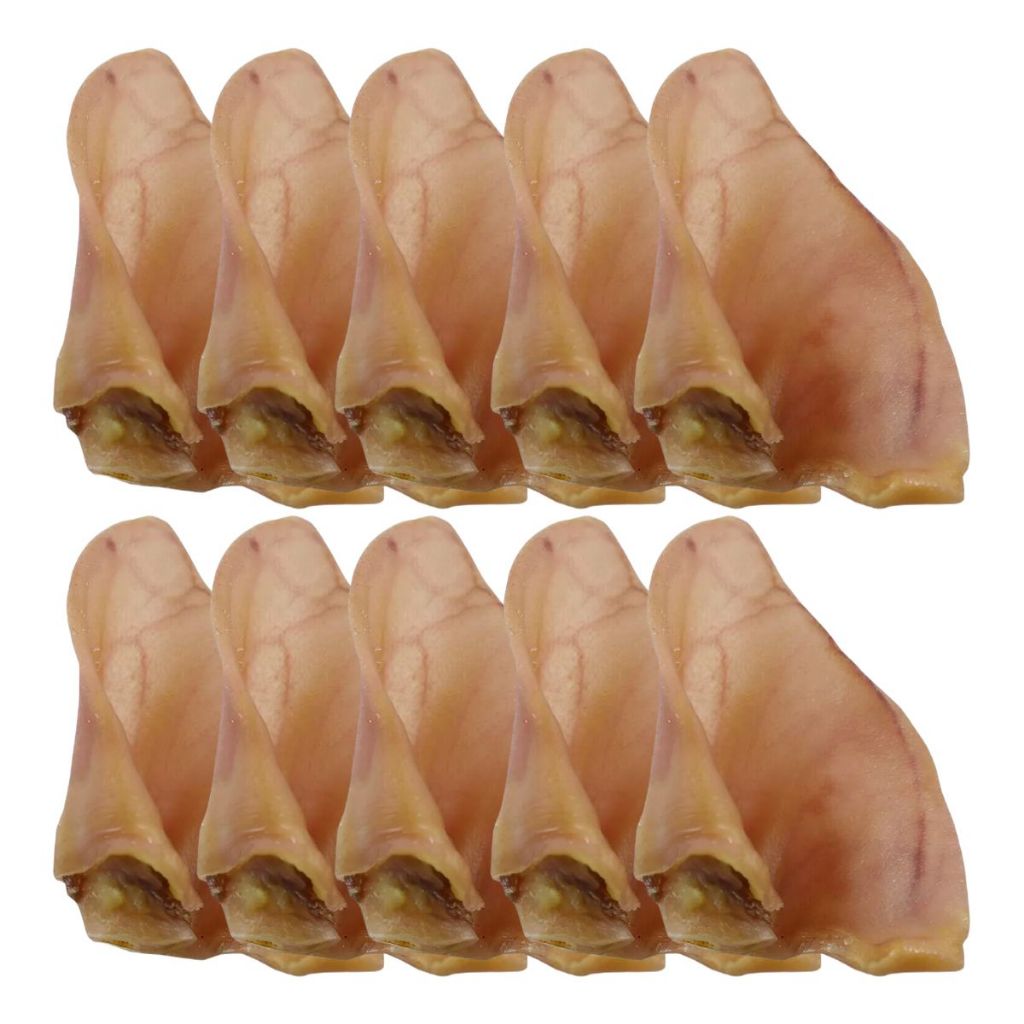 Kit 10 Orelha Suína Para Cães Mordedor Petisco Natural mastig em Oferta na Shopee