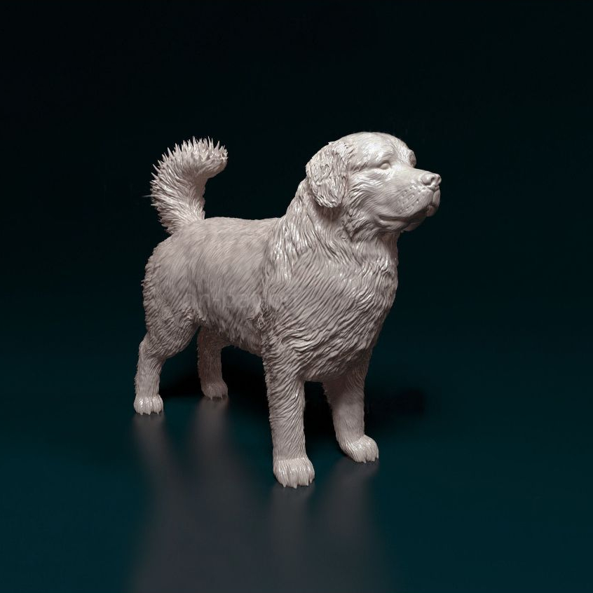 Miniatura Boiadeiro de Berna(Bovaro Del Bernese, Boiadeiro-Bernês)Personalizada ou Cor única Estátua