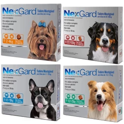 Nexgard de 2kg a 50kg 1 Tablete Antipulgas e Carrapatos Para Cachorro