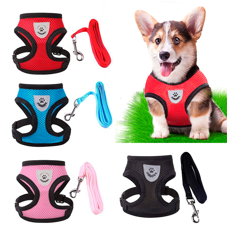 Coleira Peitoral Ajustável Refletivo Com Guia Cachorro Cães Gato Animais Pet Respirável em Oferta na Shopee