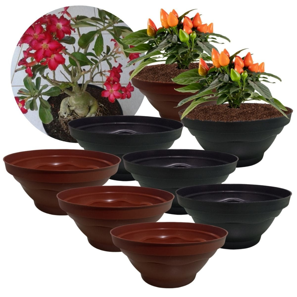 Kit 6 Vaso Cuia 21 P/ Cultivo Produção Plantas Cacto Suculenta Rosa do Deserto Colorido Plástico
