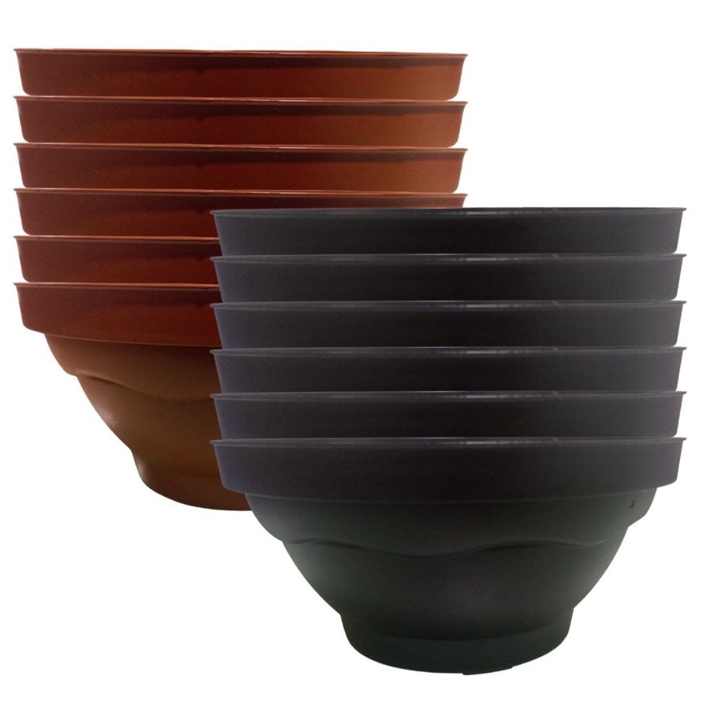 Kit 12 Vaso Cuia 21 P/ Cultivo Produção Plantas Cacto Suculenta Rosa do Deserto Colorido Plástico