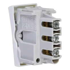 Modulo Int Paralelo Branco 10a 250v Pial Plus