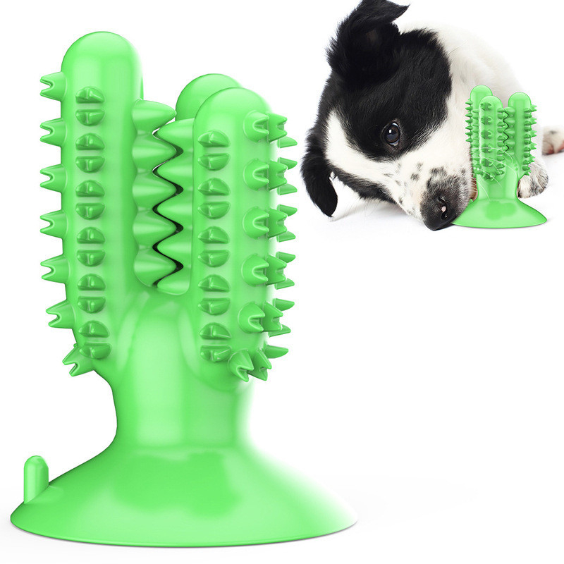 Brinquedo Para Cachorro Mordedor Limpa Dentes Anti Stress Pet Cães Formato Cactus Escova Pet Ventosa