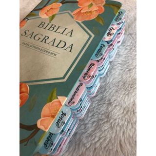 66 ABAS INDICE DA BIBLIA DE GENESIS AO APOCALIPSE AZUL E ROSA em Oferta na Shopee