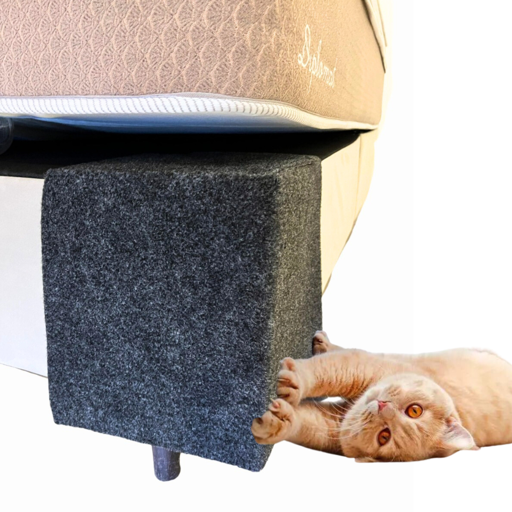 Arranhador Para Gato Canto Cama Box 30x25 Pet Protetor em Oferta na Shopee