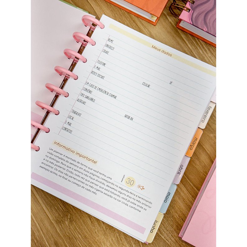 Refil Planner 2027 para Caderno de Disco Reposicionável