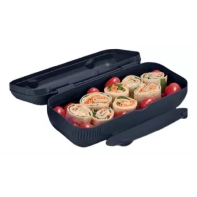 Porta Lanche/estojo/case Tupperware