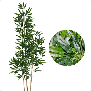 Bambu Mosso Da Sorte Artificial 150cm Grande Sem Vaso Decoração em Oferta na Shopee