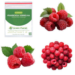 100 Sementes de Framboesa Vermelha - Faça sua Horta! em Oferta na Shopee