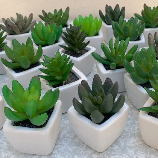 Vasinhos de Cerâmica: Onde Comprar | BuscaProdutos