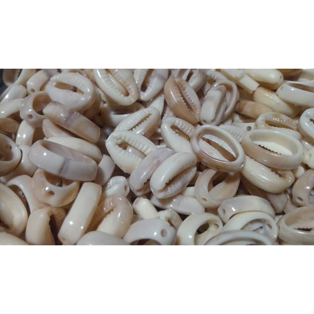 buzios cortado c FURO ( plastico ) 12 x 18 mm ( COR BEGE ) — imagem 2 de 2