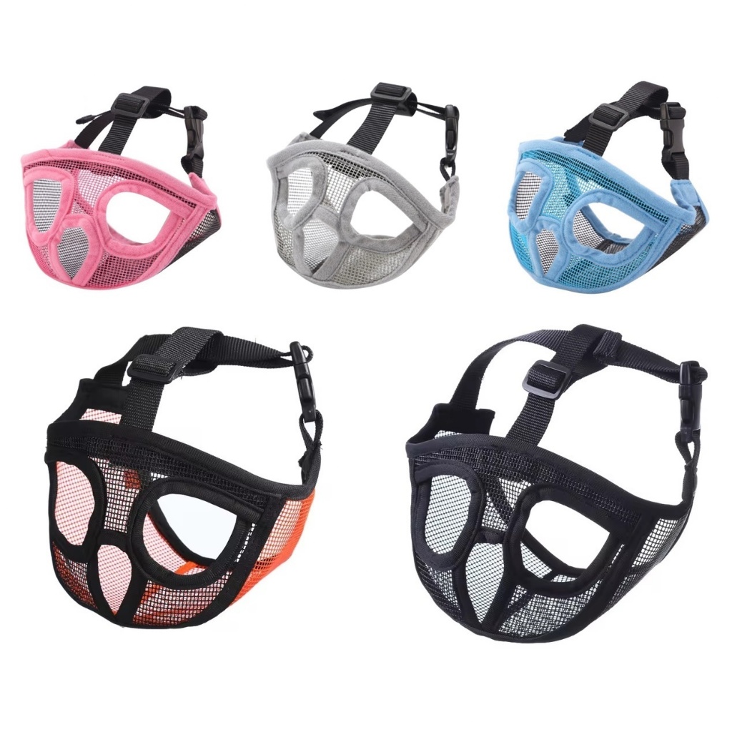 Cão Boston Terrier: Onde Comprar | BuscaProdutos