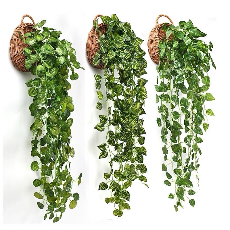 Kit 6 Metros Planta Decorativo Trepadeira Artificial Flores Artificiais Folha Ivy Artificial Garland Plants Decoração em Oferta na Shopee