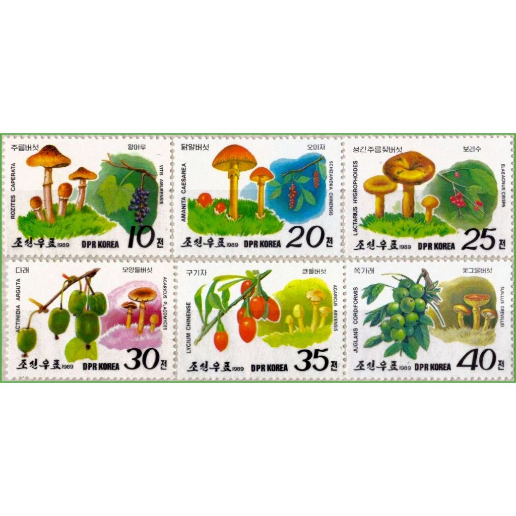 Coréia do Norte - Cogumelos e frutas selvagens - 1989 - S/Completa - AS19194 - Filatelia - Selos