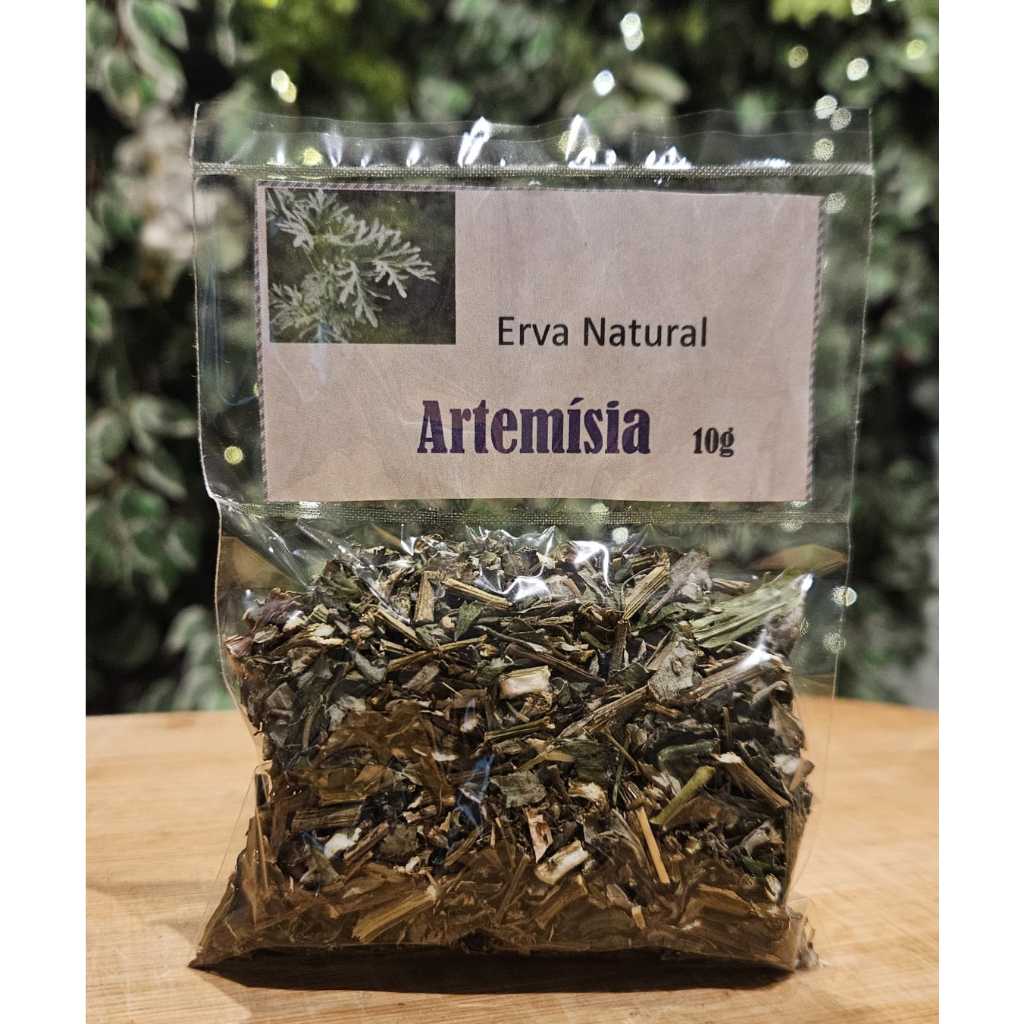 Artemísia (Erva da Bruxa) - Erva Natural em Oferta na Shopee