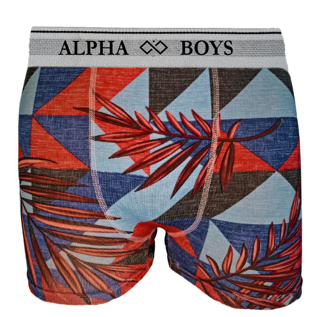 Kit 10 Cuecas Boxer Infantil de Microfibra Alpha Boys Original Roupas Masculinas em Oferta na Shopee