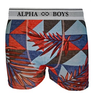 Kit 10 Cuecas Boxer Infantil de Microfibra Alpha Boys Original Roupas Masculinas em Oferta na Shopee