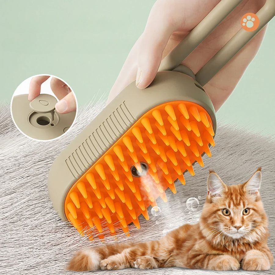 Escova Vapor Cachorro em Oferta | Shopee 2025