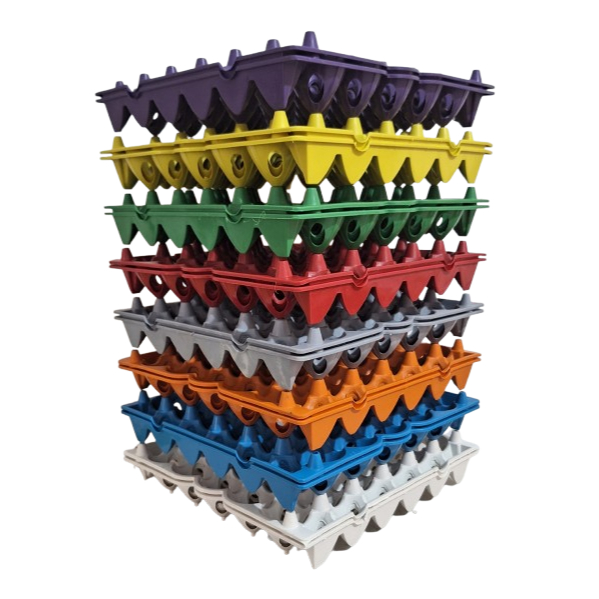 Bandeja plástica para ovos - kit com 6 unidades