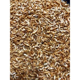 Gammarus Importado Desidratado 100g em Oferta na Shopee