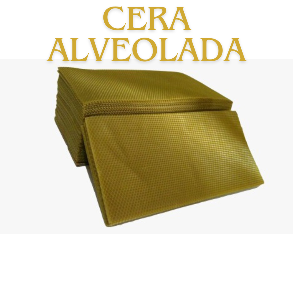 Cera alveolada de abelha europa - 500g - Apis melífera