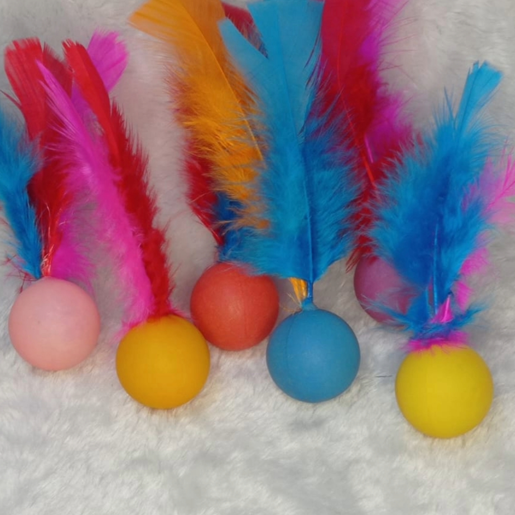 Kit com 4/5/6 Bolinhas de Pena com Barulhinho Dentro Gatos