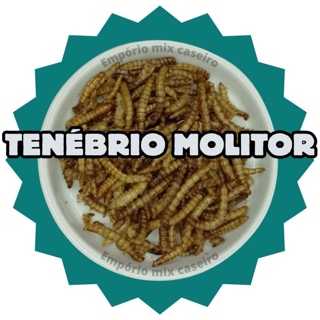 Tenebrio molitor para roedores, passaros e repteis