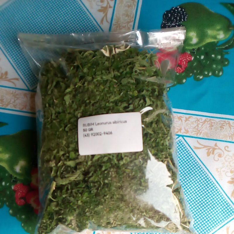 Chá De Rubim/ Erva Macaé (Leonurus sibiricus) Direto Da Roça em Oferta na Shopee