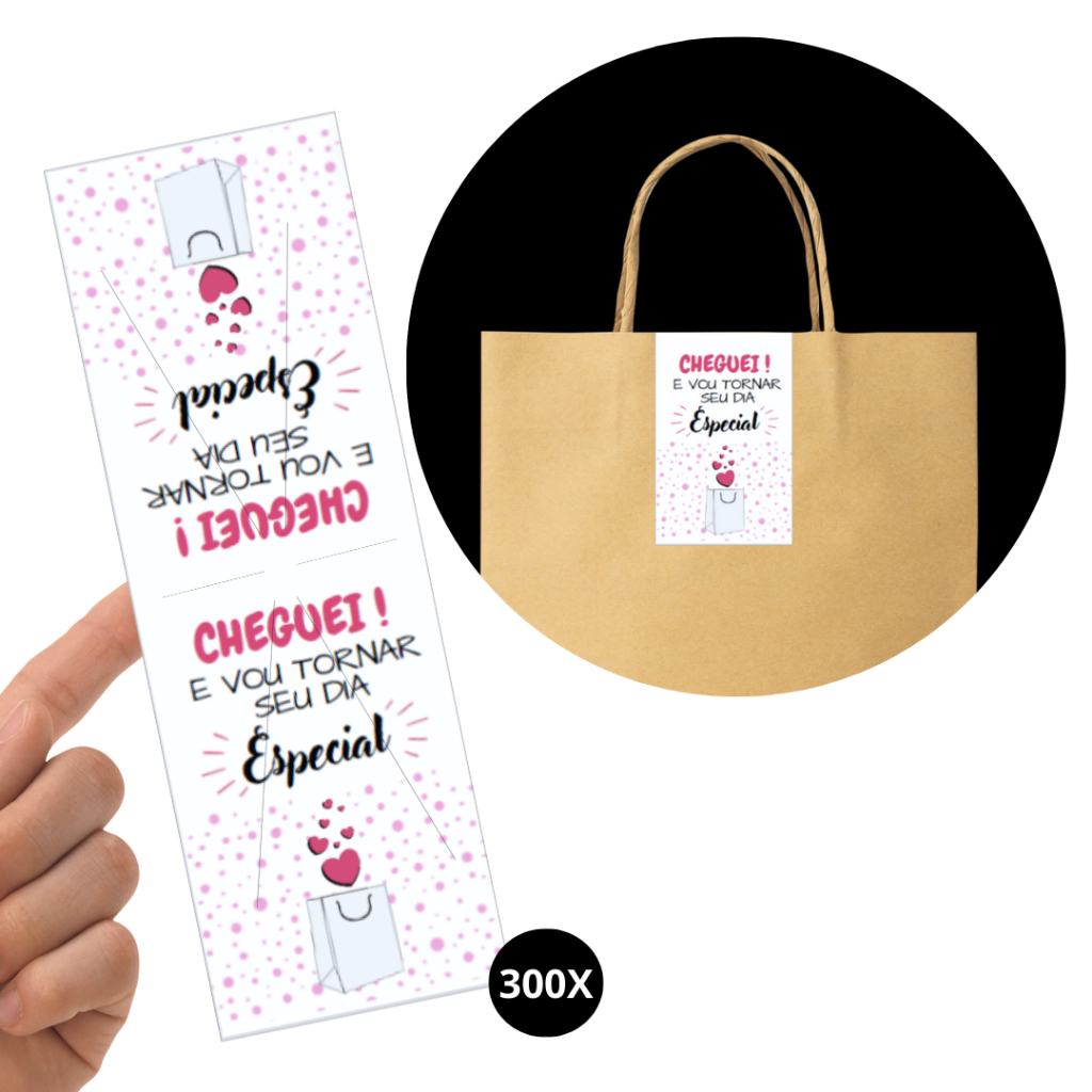 300 Lacres - Cheguei, Vou Tornar Seu Dia Especial - Para Fechamento de Embalagens Em Geral. 10 x 3,4 cm
