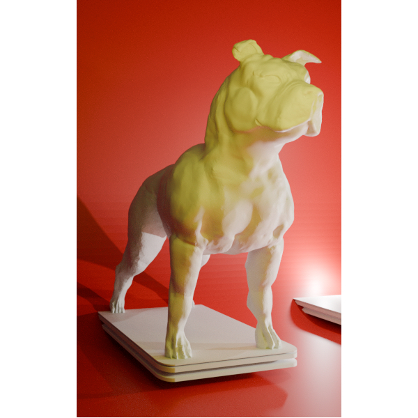 Cachorro American Staffordshire: Onde Comprar | BuscaProdutos