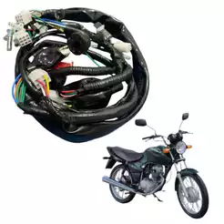 Fiação Principal Chicote Para Honda Cg 125 Titan Es 2000 Até 2002 (PARTIDA ELETRICA)