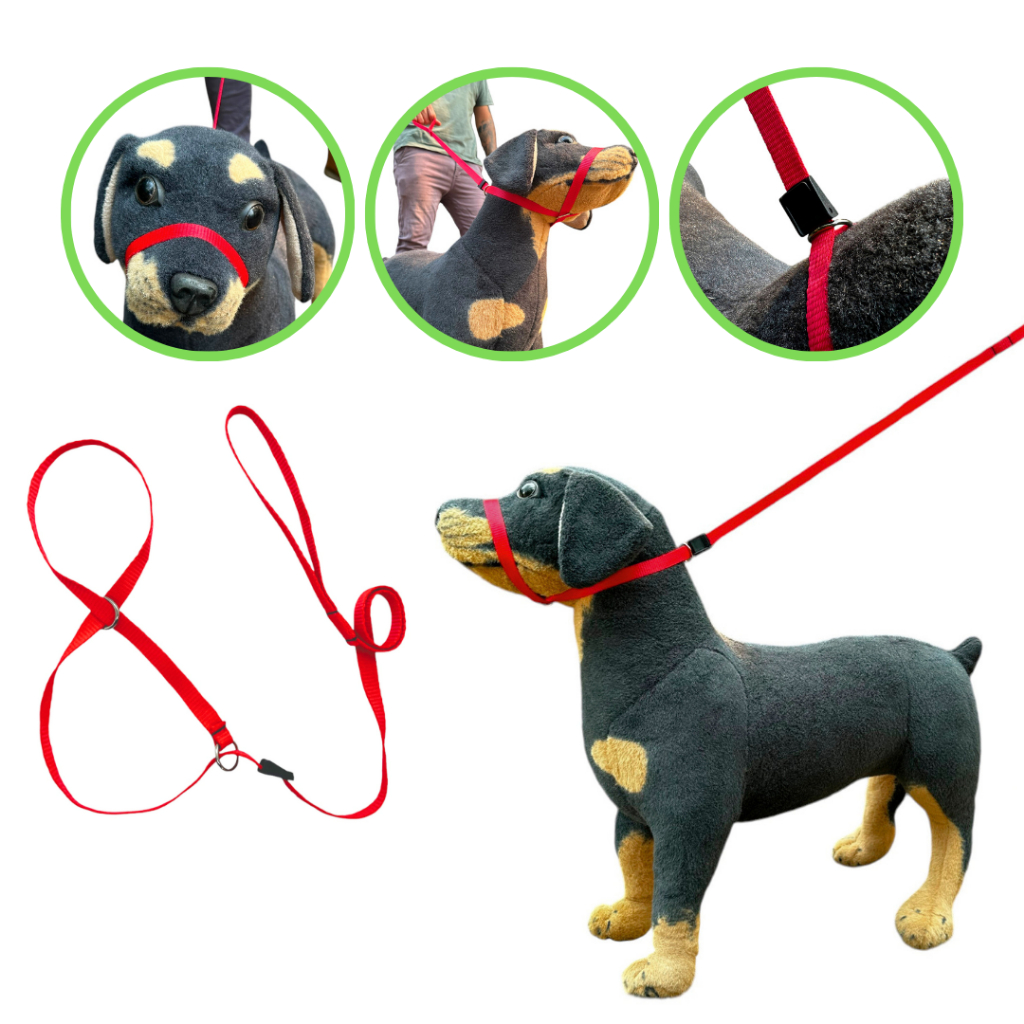 Coleira guia unificada cabresto adestramento educativo cães